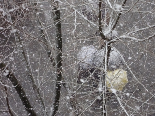 Isabel Pérez Molinero-6