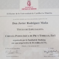 Acercar imagen: certificate 14