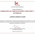 Acercar imagen: certificate 4