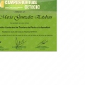 Acercar imagen: certificate 20