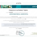 Acercar imagen: certificate 2