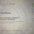 Acercar imagen: certificate 18