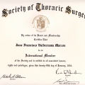 Acercar imagen: certificate 9