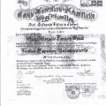 Acercar imagen: certificate 1