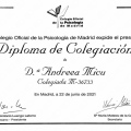 Acercar imagen: certificate 2
