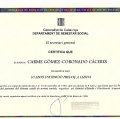 Acercar imagen: certificate 26