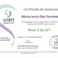 Acercar imagen: certificate 9