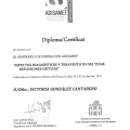 Acercar imagen: certificate 6