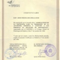 Acercar imagen: certificate 8
