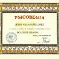 Acercar imagen: certificate 22