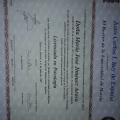 Acercar imagen: certificate 37