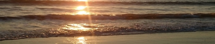 Dra. Nora Miriam Fernández Seco