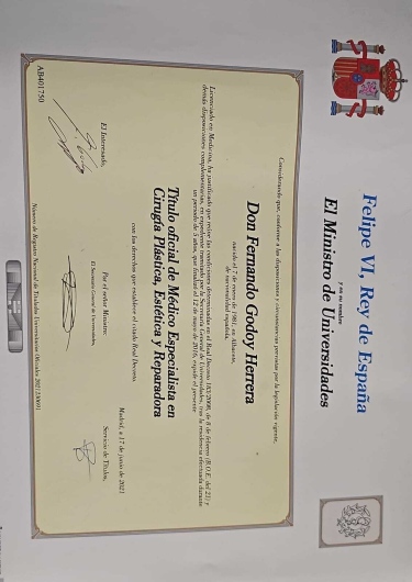 Fernando Godoy Herrera-1