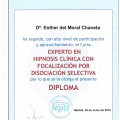 Acercar imagen: certificate 5