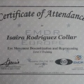 Acercar imagen: certificate 1