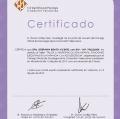 Acercar imagen: certificate 14
