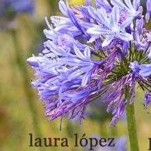 Acercar imagen: Laura López López, Psicólogo Lugo