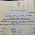 Acercar imagen: certificate 2