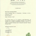 Acercar imagen: certificate 7