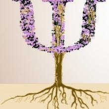 Acercar imagen: Nerea Manchado Manuel, Psicólogo Murcia