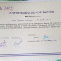Acercar imagen: certificate 5