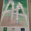 Acercar imagen: certificate 3