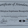Acercar imagen: certificate 7