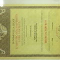 Acercar imagen: certificate 3