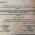 Acercar imagen: certificate 20