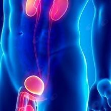 Acercar imagen: Mohammed Mqirage, Urólogo Benicarló