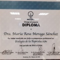Acercar imagen: certificate 6