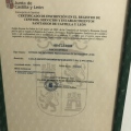 Acercar imagen: certificate 9