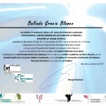 Acercar imagen: certificate 6