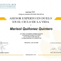 Acercar imagen: certificate 16
