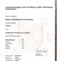 Acercar imagen: certificate 2