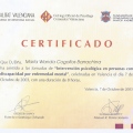Acercar imagen: certificate 23