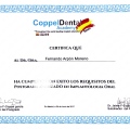Acercar imagen: certificate 13
