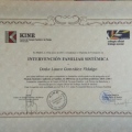 Acercar imagen: certificate 8