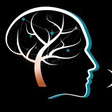 Rocío Vergara. Centro de logopedia e integración sensorial en Albacete.