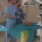 Dr. Carlos Sánchez Rodríguez