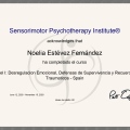 Acercar imagen: certificate 13