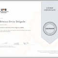 Acercar imagen: certificate 6
