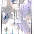 Acercar imagen: certificate 5