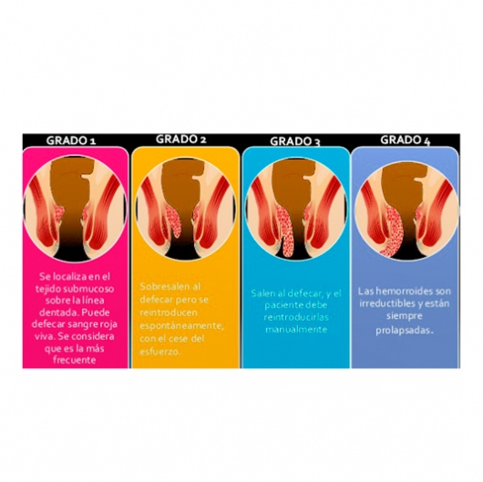 Francisco Miguel Jiménez Armenteros-9