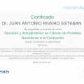 Acercar imagen: certificate 29