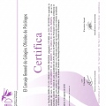 Acercar imagen: certificate 4