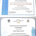 Acercar imagen: certificate 3
