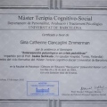 Acercar imagen: certificate 4