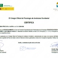 Acercar imagen: certificate 12
