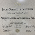 Acercar imagen: certificate 2